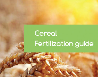 cereal-fertilization