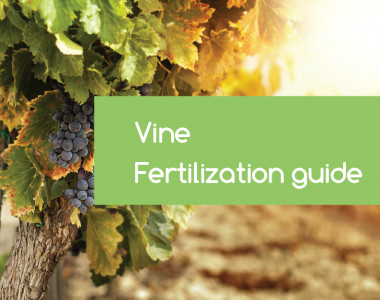 vine-fertilization